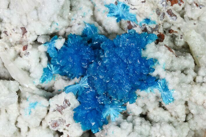 Vibrant Blue Cavansite Clusters on Stilbite - India #168255